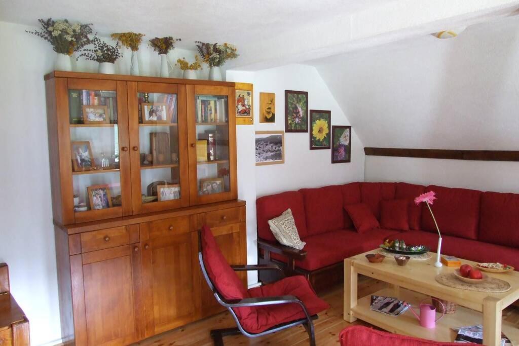 זבליאק Spectacular Lakeview House מראה חיצוני תמונה